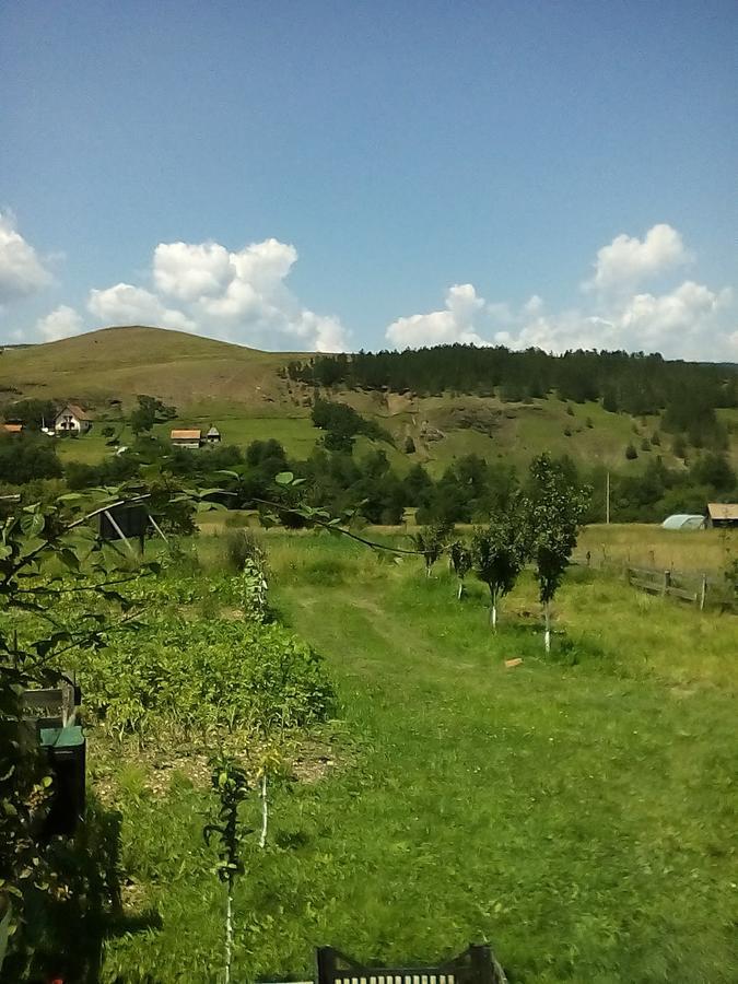 Holiday Home Vila Milka Kremna Bagian luar foto
